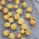 Cooksnap dari Felicia Anjani untuk resep Butter cookies (Copycat Jenny Butter Cookies Hongkong)