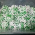 Cooksnap dari delian sjiariel (ssmum) untuk resep Ongol Ongol Singkong /Lapis singkong