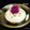 Divya Konduri's cooksnap of when they made Baked Mishti Doi.