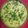 Bina Talati's cooksnap of when they made વાટી દાળ ના ખમણ (Vati Dal Khaman Recipe In Gujarati).