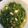 Cooksnap dari sherly untuk resep Sayur Bayam Telur Asin