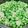 Yeh Eunice 的 毛豆仁炒蛋 cooksnap