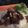 Monika Clary's cooksnap of when they made Mongolian beef.