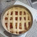 El cooksnap de Cecilia Farias Alcaino cuando hizo Kuchen de durazno y manzanas.