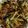 Cooksnap dari sitifat imah untuk resep Tempura sayur