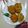 Cooksnap dari Ervita Fitria untuk resep Tahu Berontak