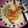 El cooksnap de Stefanie cuando hizo Pollo a la cerveza.