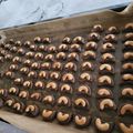 Cooksnap dari Lie Sun Nie untuk resep Choco Cashew Cookies / Kukis Kacang Mete
