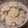 El cooksnap de victoriago@hotmail.com cuando hizo Galletitas de vainilla fácil y rápidas.