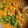 allimilli Komali's cooksnap of when they made Easiest Butter Chicken Masala.