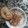 El cooksnap de David Vicente Miguelez cuando hizo Arroz con Leche.