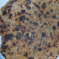 Debasmita Bhaduri's cooksnap of when they made মূলোর পরোটা (Mulor Paratha recipe in Bengali).