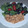 El cooksnap de MJG cuando hizo Tofu con salsa de cacahuete en 15 min 👉 Recetas Veganas Fáciles.
