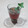 El cooksnap de Lady Marmalade cuando hizo Agua de jamaica con menta y chía 🌺🍹.