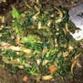 Cooksnap dari Vera Novianty Budiman untuk resep Tumis Teri Daun Pepaya