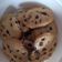 El cooksnap de Agustina Asial cuando hizo Galletas con chocolate/ cookies.