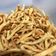 Cooksnap dari Vien untuk resep Cheese Stick