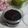 Cooksnap dari Vay Kitchen untuk resep Selai coklat, Cocoa powder