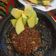 Cooksnap dari Natalia Andy untuk resep Bumbu Rujak Buah