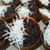 Cooksnap dari Tri Yunianti untuk resep Mini terbul brownies