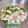 Cooksnap Mahadiah semasa beliau membuat Sup Sayur Bersama Fish Ball.