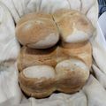 El cooksnap de Esteban Morris Donoso Sandoval cuando hizo Marraqueta o pan batido.