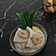 Cooksnap dari Ruth Destianty untuk resep Roti Tawar Kuah Santan