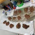 BKL070123's cooksnap of when they made No bake cookies.