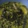 Cooksnap dari Resty Oktavia untuk resep Sayur Santan Daun Singkong