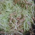 Cooksnap dari seli Litikansi untuk resep Oseng Waluh (Labu Siam) dan Tempe