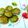 Shweta Shah's cooksnap of when they made પાલક પૂરી (Palak Poori Recipe In Gujarati).