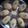 sarita kashyap का कुकस्नैप जब उन्होंने मावा स्टफ्ड चमचम(Mava stuffed Chamcham recipe in hindi) बनाया था।