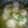 Cooksnap dari Tyasspucca untuk resep Bakso So Good Kuah