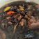 Cooksnap dari Emma Shahla untuk resep Jukut Undis Mekuah (sayur undis berkuah) #kuliner Bali