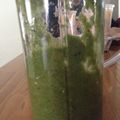 Diona Lomax's cooksnap of when they made Energizing Smoothie (apple celery tomato and spinach).