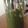 Diona Lomax's cooksnap of when they made Energizing Smoothie (apple celery tomato and spinach).