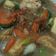Cooksnap dari Greentea Fida untuk resep Sapo Tahu Seafood Oriental