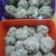 Cooksnap dari pinonaja untuk resep Bakso DEBM