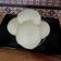 Cooksnap dari arie dewi untuk resep Bakpao ayam