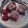 Cooksnap dari Lailatuzzahra Ukhty Muslimah untuk resep puding coklat susu
