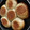 Asha Galiyal's cooksnap of when they made પાવ (Pav Recipe in Gujarati).