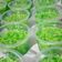 Cooksnap dari Maria Shita untuk resep Puding Lumut “pandan asli”