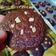 Cooksnap dari Mey_NN untuk resep Brownie Cookies