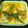 Anamika Banerjee's cooksnap of when they made Doi Katla Machh Carp Rohu Fish in the Yoghurt Gravy.