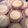 Cooksnap dari Selvy Lawandra untuk resep Eggtart Ponti