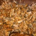 El cooksnap de Carolina Carbonaro cuando hizo Pulled Pork en olla express.