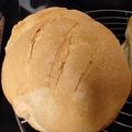 Cooksnap από Elisabeth Paramythiotou στη συνταγή Ψωμί σαν μετσοβίτικο ή ψωμί με ζύμη μακράς ωρίμανσης 🥖🥖