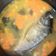 Cooksnap dari Mila Setyani untuk resep Menu MP-Asi 1y+ Sup ikan mas bumbu kuning