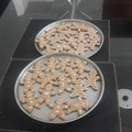 El cooksnap de Daniela cuando hizo Galletitas navideñas de jengibre y miel.
