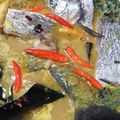 Cooksnap dari Lily Cuap untuk resep Ikan Bawal Masak Bumbu Kuning